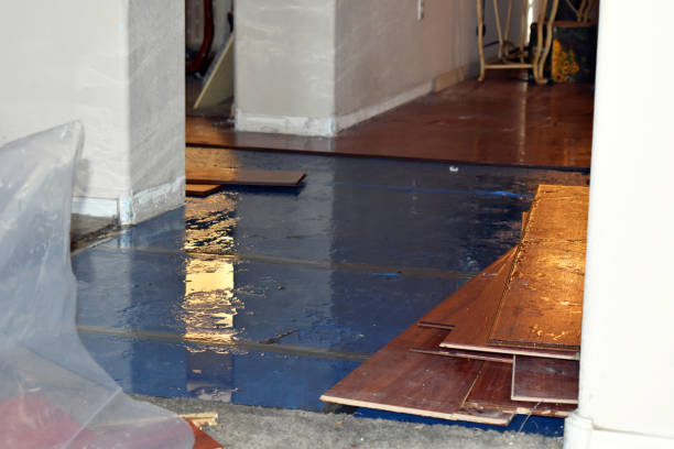 Professional Burst Pipe Cleanup technician working in Round Pond, ME